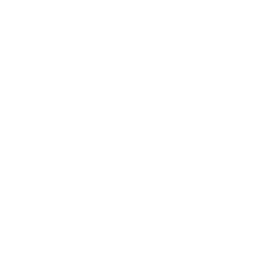 Dexstock